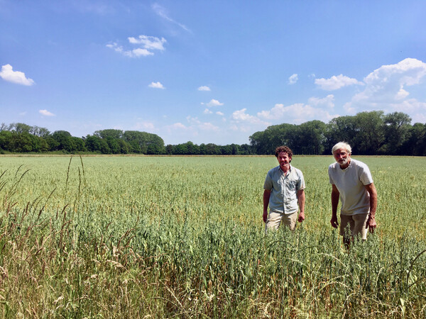 Rondje Tongelaar 26 mei over Biologische Landbouw