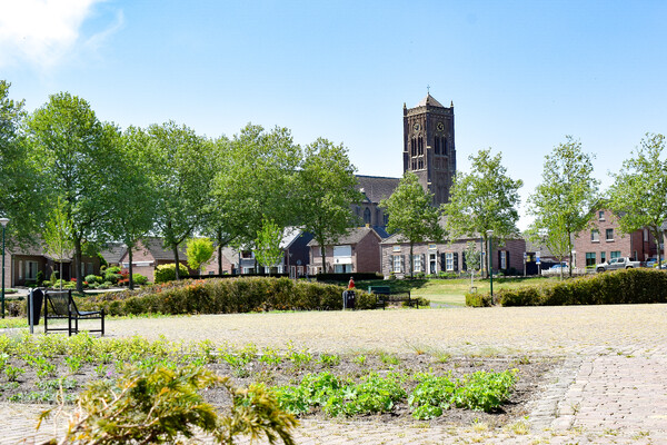 3 juli Muzikale picknick het Aldendrielpark in Mill