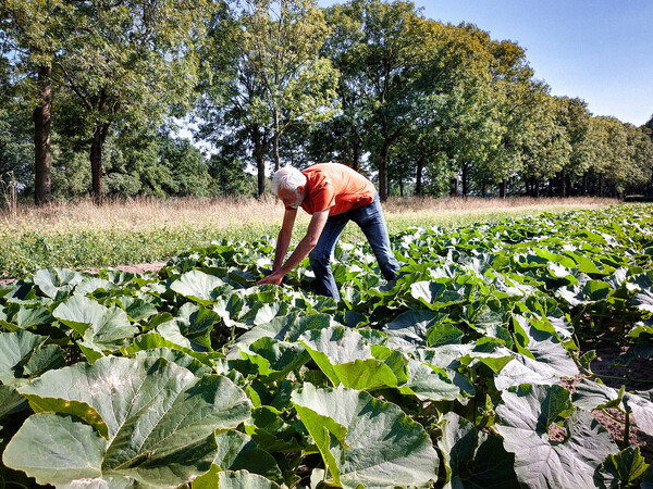 Rondje Tongelaar over Biologische Landbouw