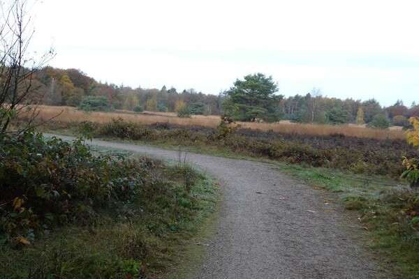 IVN De Maasvallei organiseert twee excursies