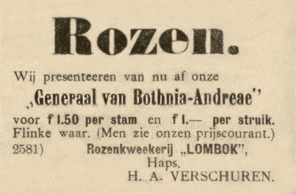 Een advertentie van Verschuren Rozenkwekers uit lang vervloten tijden (archieffoto: Stichting Erfgoed Verschuren Rozenkwekers)