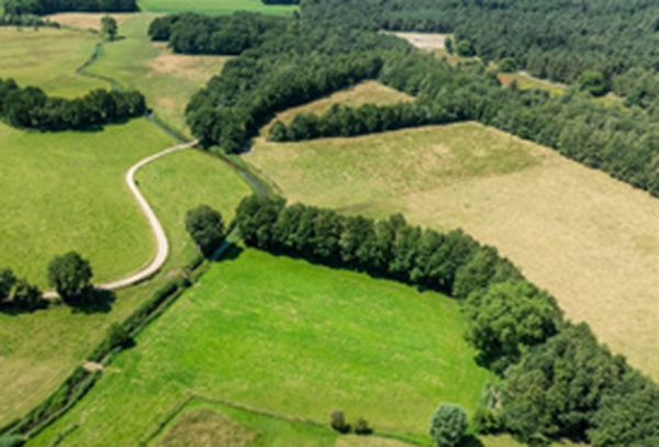 foto: Anne Schoone (hooge_raam_halsche_beek)