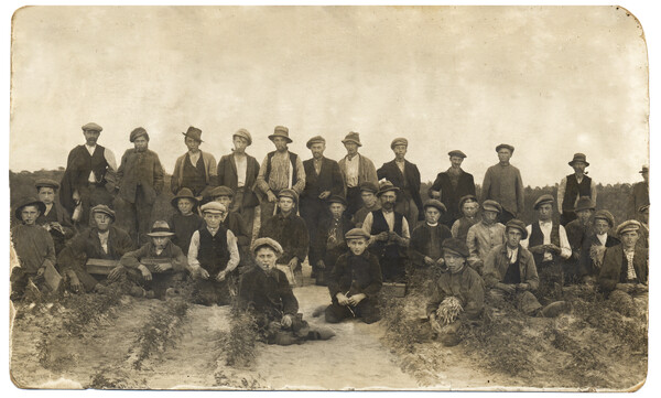De mensen van Verschuren Rozenkwekers op het land (archieffoto: Stichting Erfgoed Verschuren Rozenkwekers)
