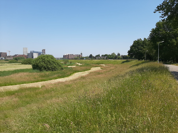 Watervoorraad slinkt hard door verdamping