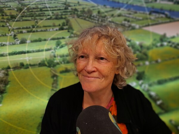 Liesbeth van Heeswijk: "Oppositie binnen de Coalitie"