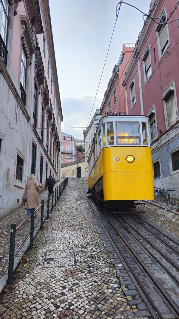 foto: Dion van Alem