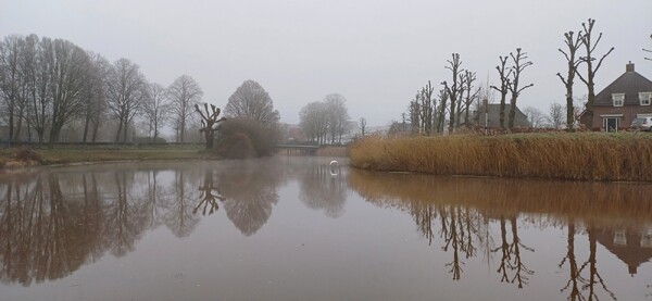 Jouw mooiste foto in ons nieuwe project?