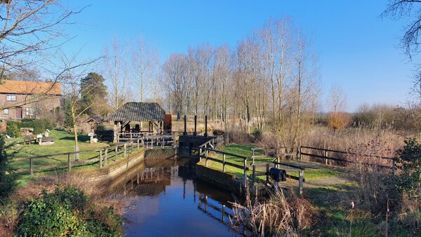 Foto: Gerrie Willems-de Hoog
