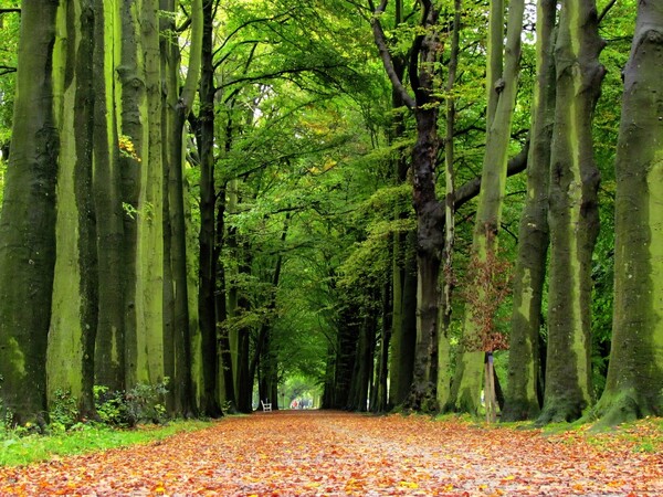 foto: Flickr
