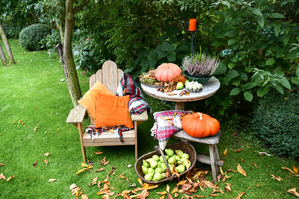 Herfst Inspiratie Dagen bij 3 ondernemers in Mill