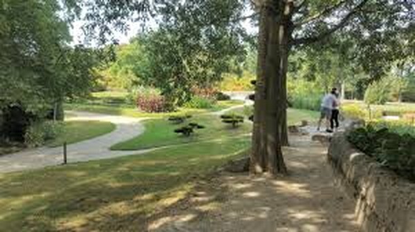 Lezing Tuinvijvers