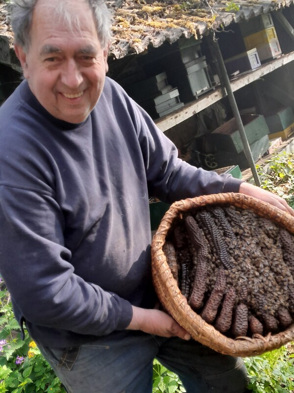 Voorzitter Chris Raaijmakers van Imkervereniging Land van Cuijk toont een bijenkorf (foto: Imkervereniging Land van Cuijk)