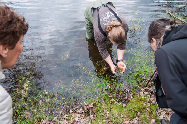 Op zoek naar waterbeestjes, lentebloeiers en ander bijzonder leven in natuurgebied Broekse Wielen in Escharen