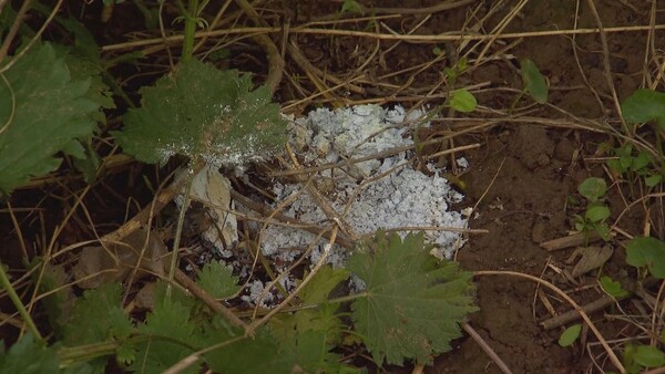 foto's: Omroep Brabant