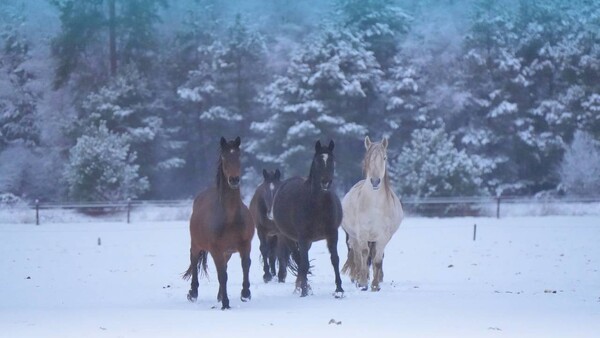 foto: Erik van Asten