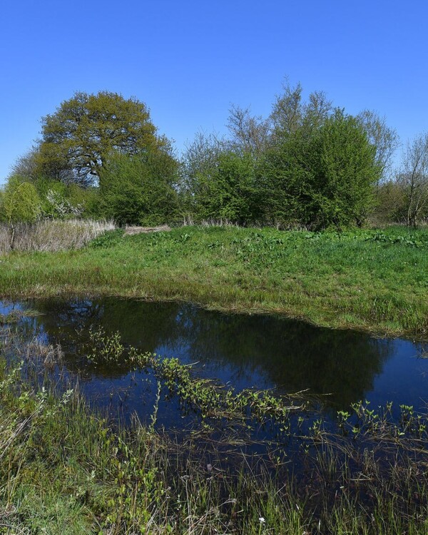 Kavelruil in De Maasheggen afgerond