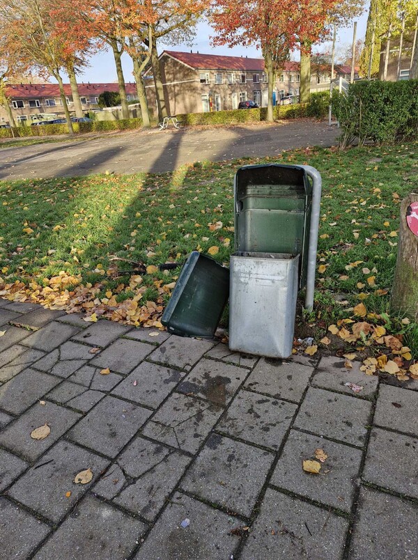 Vuurwerkangst houdt wijk Heeswijkse Kampen wakker: 'Mijn hond zat verscholen achter het toilet'