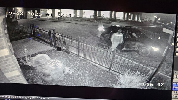 Massief beeld van honderdvijftig kilo gestolen uit voortuin Boxmeer