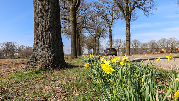 Foto: Henk Straatman