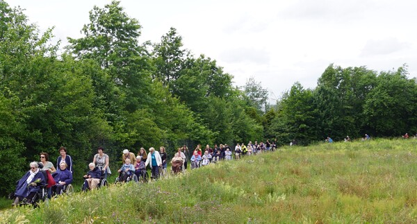 Rolstoelwandeling SWOM