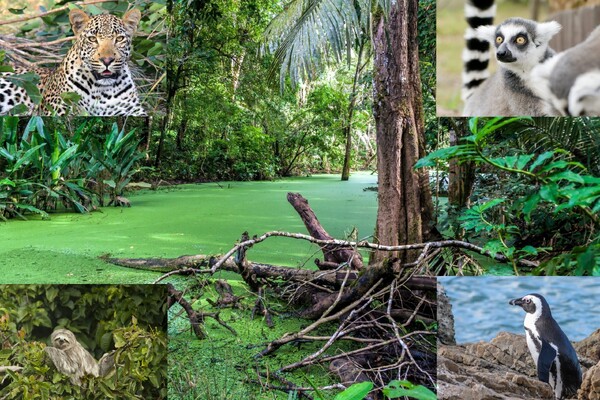 Stichting Wildlife op dinsdag 11 april 2023