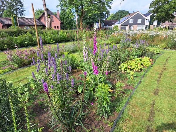 SamenTuindag op zaterdag 17 augustus