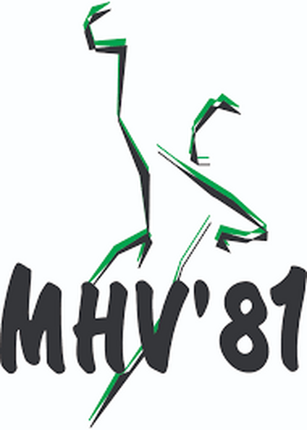 Slotwedstrijd MHV '81