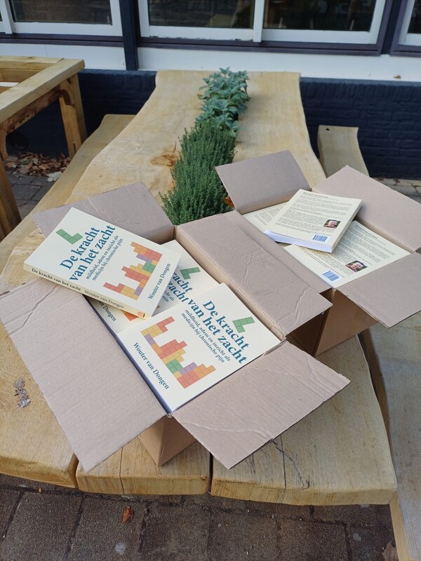 ​Vierlingsbeekse fysiotherapeut schrijft boek over herstel door zachtheid