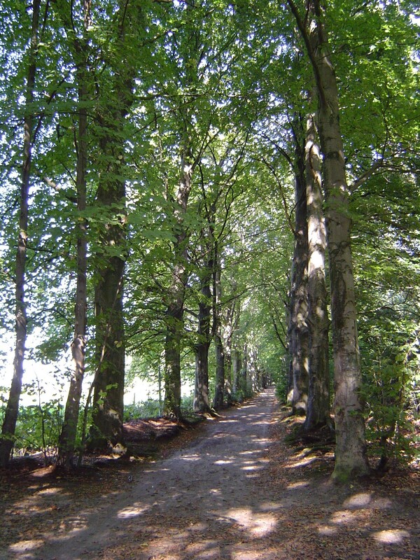 Natuurwandeling op landgoed Mariëndaal met aandacht voor Jezuïetenerfgoed