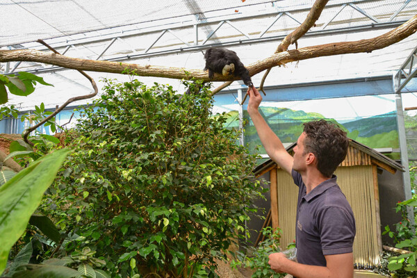 ZooParc biedt bezoekers bijzondere kans: word een dag dierenverzorger