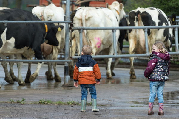 DorpsFestival Overloon: Een Dag vol Vermaak en activiteiten ten behoeve van de Alpe d'HuZes