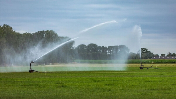Foto: Omroep Brabant