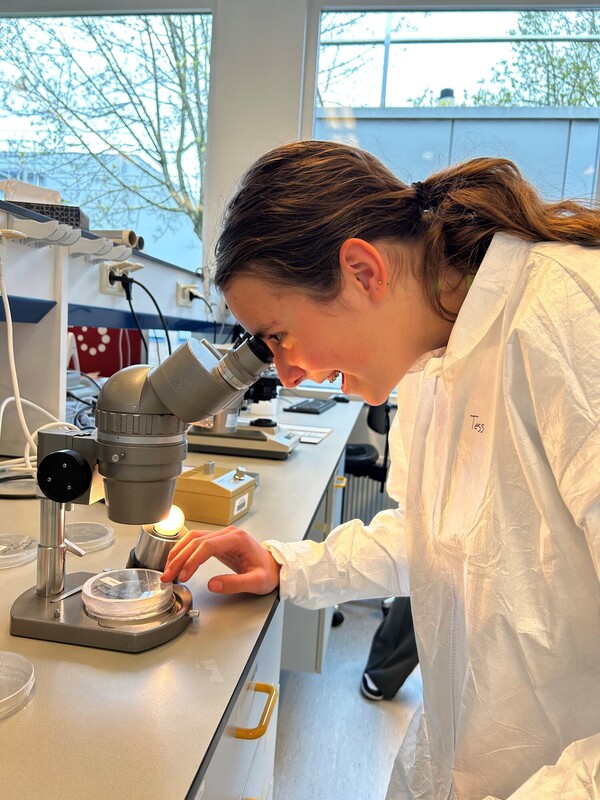 Meiden Metameer Boxmeer ontdekken farmaceutische technologie bij MSD tijdens Girls’ Day