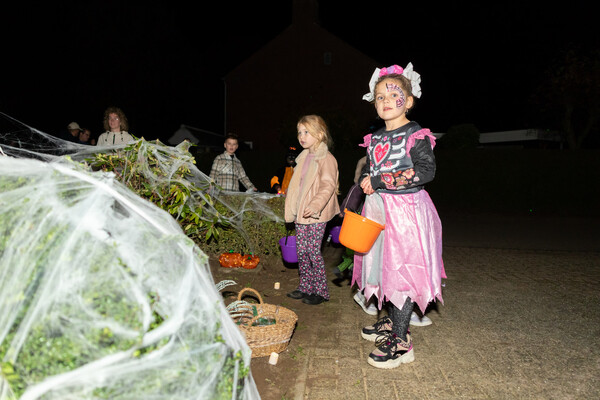 Foto: Albert Hendriks