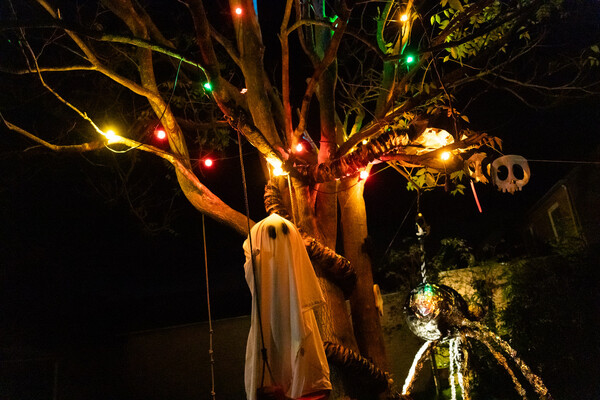 Foto: Albert Hendriks