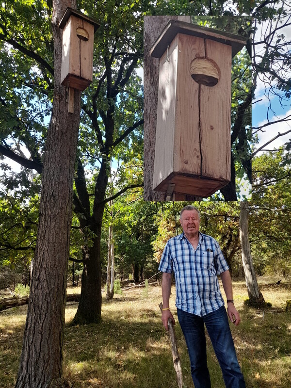 De uilenkast, ingenomen door hoornaars, met Huub Thoonen op de voorgrond.