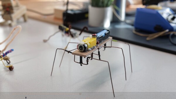 foto: Omroep Land van Cuijk