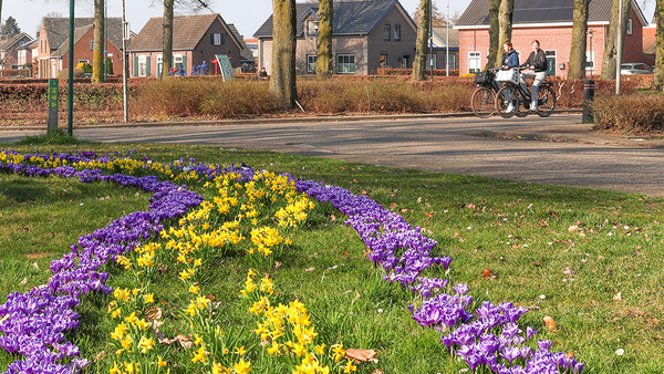 Foto: Henk Straatman
