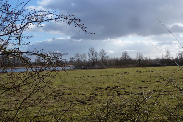 Seniorenwandeling op De Vilt