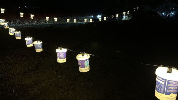 Foto: Robèrt Cooijmans