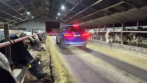 Foto: Robèrt Cooijmans