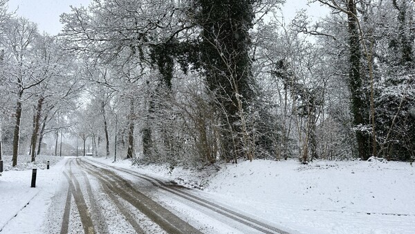 Foto: Robèrt Cooijmans