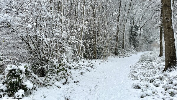 Foto: Robèrt Cooijmans