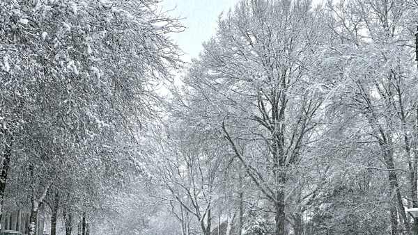 Foto: Robèrt Cooijmans