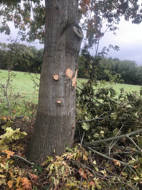 Foto's: Dorpsraad Vierlingsbeek