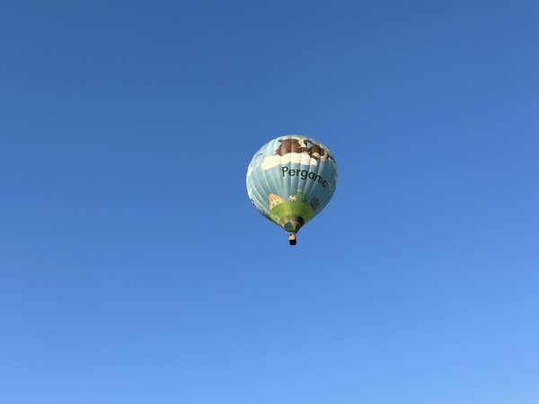 2e dag Ballonfestival Grave betovert toeschouwers met spectaculaire ballonopstijgingen