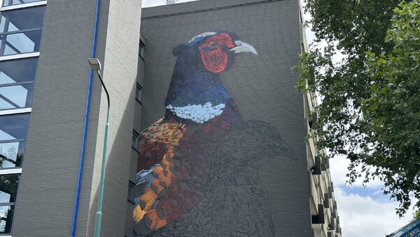 Cuijkse flats krijgen 22 meter hoge muurschilderingen van lokale kunstenaar