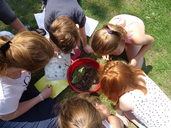 Foto: IVN De Maasvallei