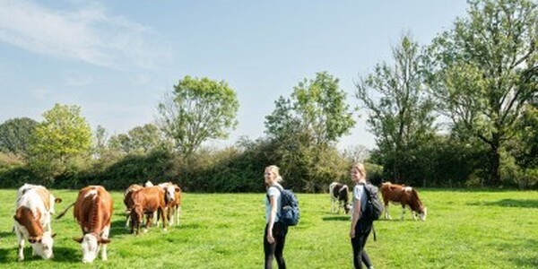 Bron: Wandelnet.nl (route 3)