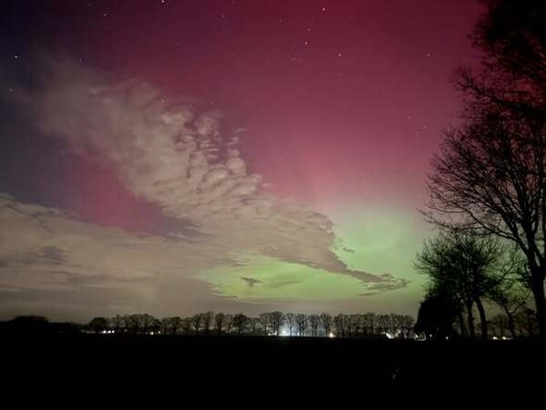 Langenboom (foto: Sharon Zwambag)
